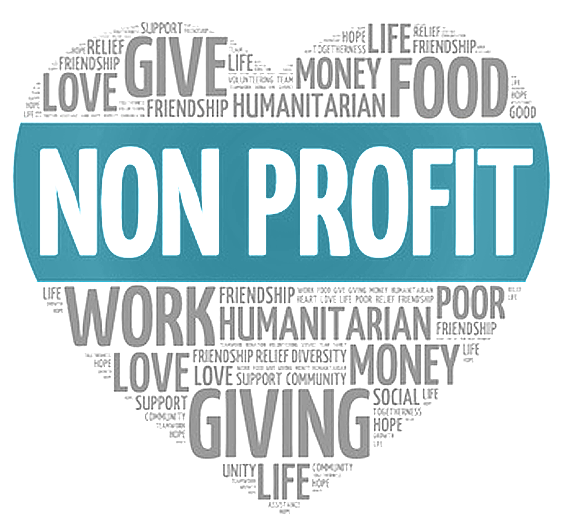 Image result for image non profit